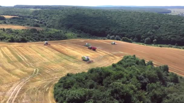 Lviv Oekraïne Juli 2020 Veel Combine Harvesters Oogst Gewassen Een — Stockvideo