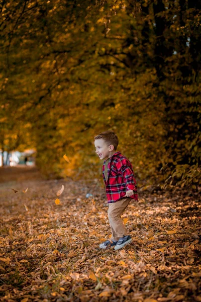 Kleiner Junge Spaziert Herbst Der Natur Ein Vorschulkind Herbstpark Gelben — Stockfoto