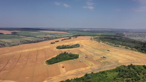 Львів, Україна - 13 липня 2020: Багато Combine Harvesters Harvest Crops In A Agricultural Field Air View — стокове відео