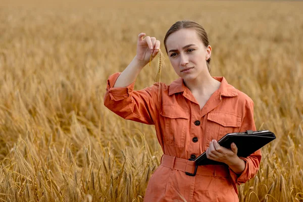밭에서 알갱이로 시험관을 농업자는 뚜껑을 닫는다 농사를 시험하는 — 스톡 사진