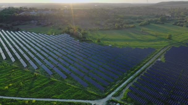 フィールドの生態系の太陽光発電所パネル日没の風景で緑のエネルギー電気革新自然環境 — ストック動画