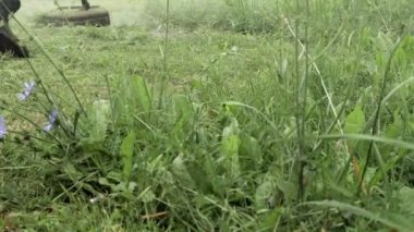 Elinde çim biçme makinesiyle evin önünde çim biçen bir işçi. Bir adamın ellerinde budayıcı. Bahçıvan çimleri biçiyor. Yaşam biçimi.