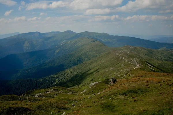 Karpatské Pohoří Létě Ráno Krása Divoké Panenské Ukrajinské Přírody Mír — Stock fotografie