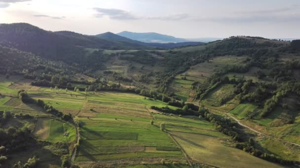 Vista Aérea Los Pintorescos Cárpatos Con Pendientes Inclinadas Abetos Vista — Vídeos de Stock