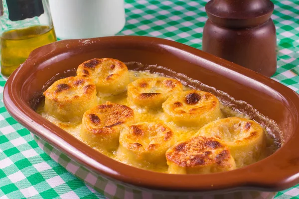 Traditionele Italiaanse Canneloni — Stockfoto