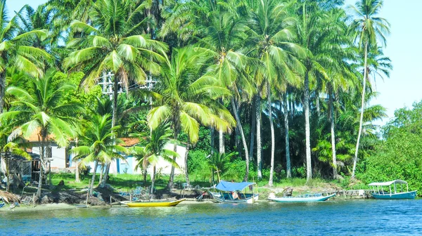 Stranden morro de sao paulo — Stockfoto