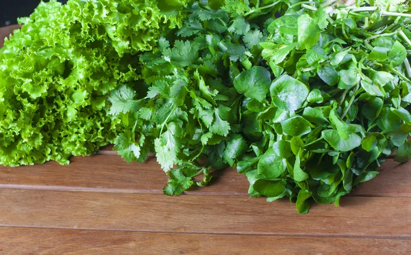 Ensalada fresca verde — Foto de Stock