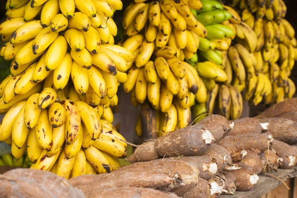 Banana Ouro Brasileira — Fotografia de Stock