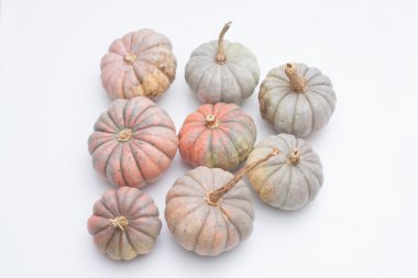 Küçük kabak hasat