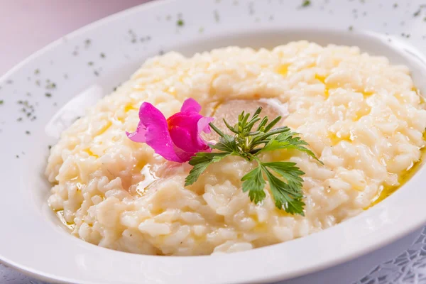 Gourmet Cheese Risotto — Stock Photo, Image