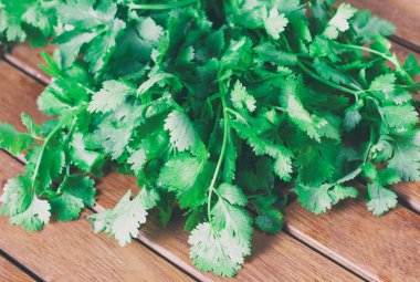 Kişniş, Coriandrum sativum