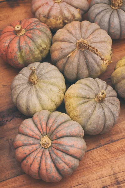 Çiftlikten Küçük Kabaklar