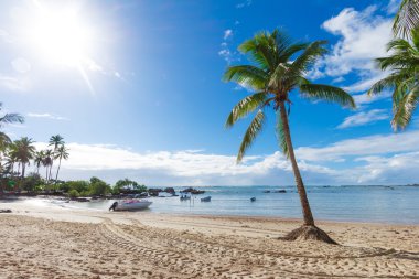 Morro de Sao Paulo Plajı 