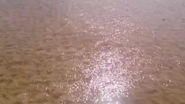 新鮮な波状水 — ストック動画