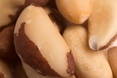 Close-up on a Brazilian Castanha do Para