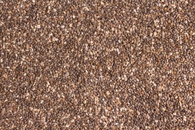 Chia tohum üzerinde kapatın