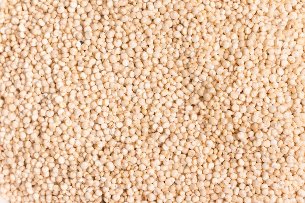 Superfood Quinoa graines — Photo