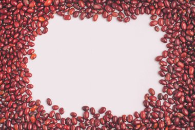 Brezilyalı kırmızı fasulye çerçeve. Phaseolus vulgaris