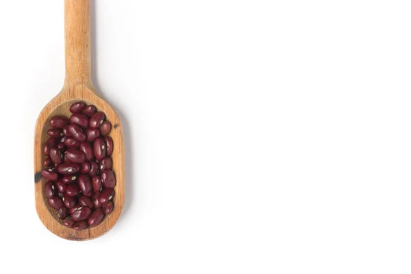 Brazilian Red Beans into a spoon. Phaseolus vulgaris — Stock Photo, Image