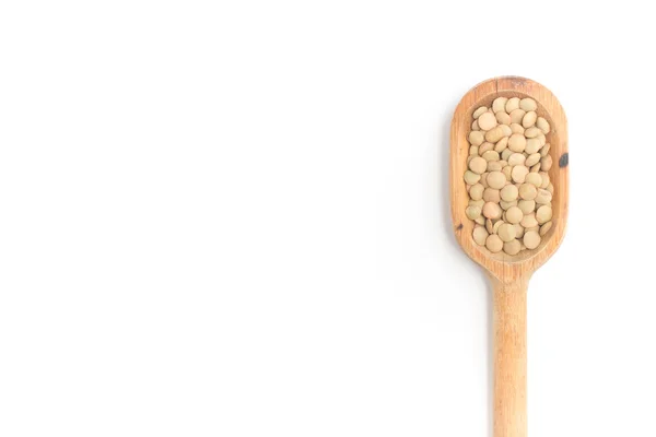 白い背景の上のスプーンに生豆。(レンズの culinaris) — ストック写真