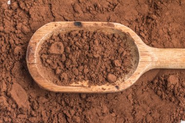 Bir kaşık kakao bir arka plan üzerinde içine kakao tozu.