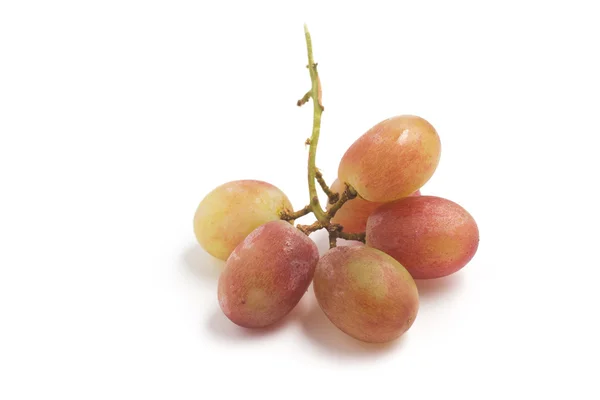 Ramo de uva de rubí —  Fotos de Stock