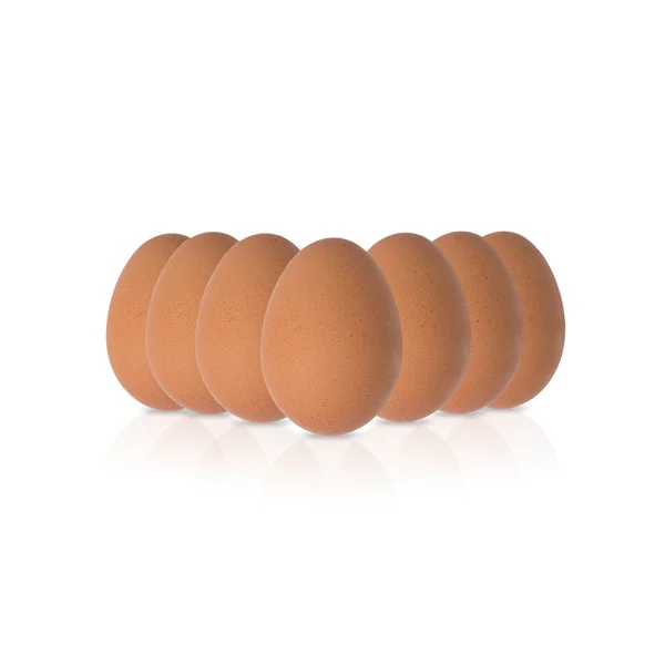 Close-up em um ovos castanhos — Fotografia de Stock
