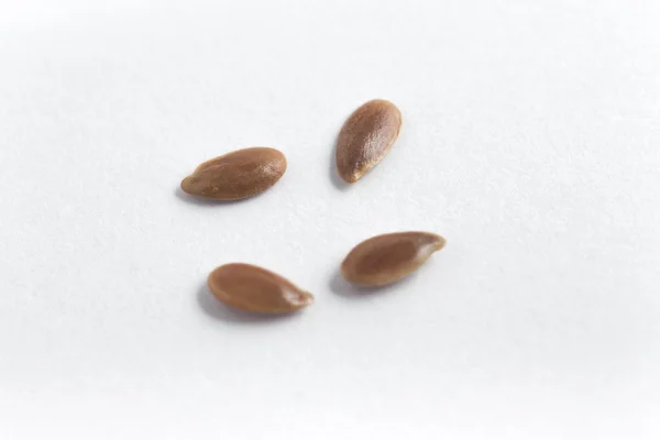 Yakın çekim bir keten tohumu — Stok fotoğraf