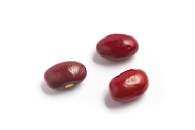 Bir kuru fasulye yakın çekim