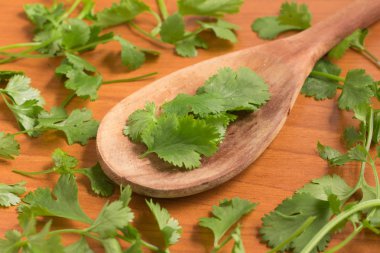 Bir kaşık içine taze kişniş