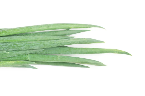 Chive. Sping Onions. — Stock Photo, Image