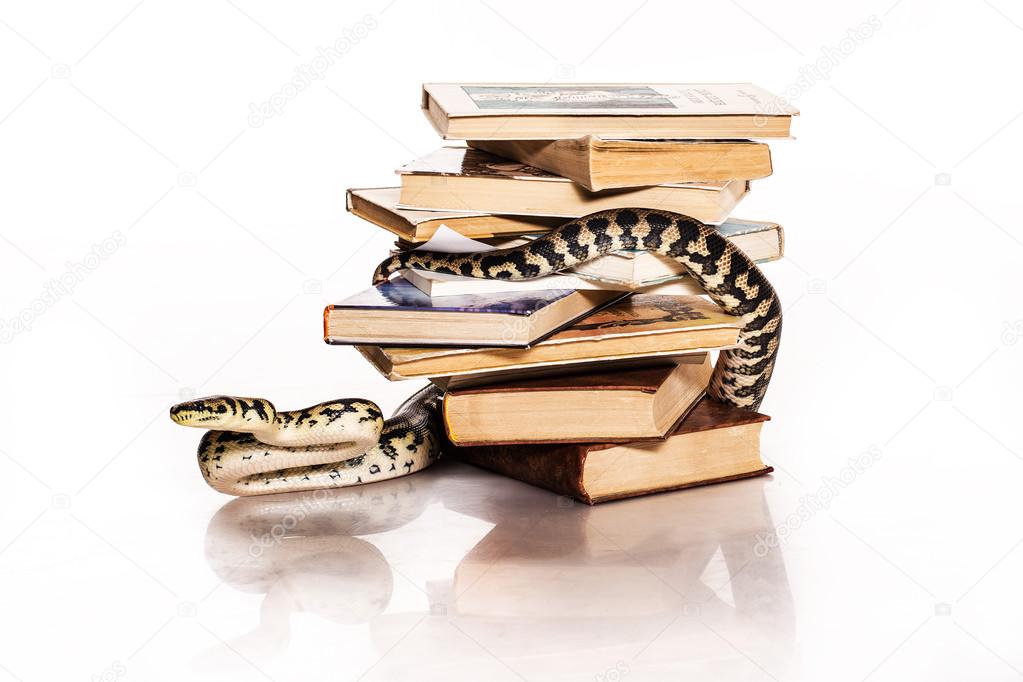 books and a cool snake