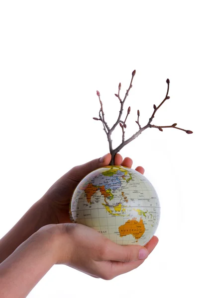 Ręka gospodarstwa drzewo na świecie — Zdjęcie stockowe