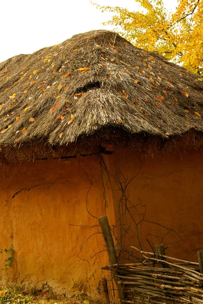 Autumn leaves on the roof — Stock Photo, Image