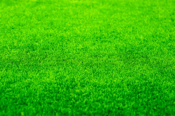 Fake green grass — Stock Photo, Image