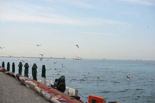 Tilikan dari Bosporus — Stok Foto