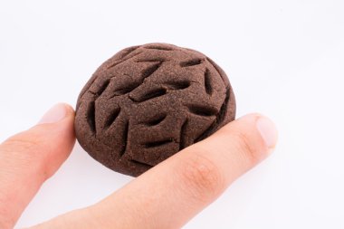 el bir çerez holding