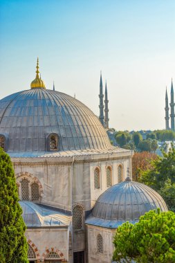 Istanbul Camii kubbeleri