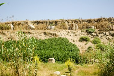 Efes Antik şehir kalıntıları 