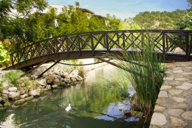 Creek küçük ahşap köprü