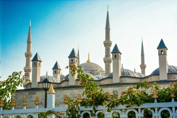 Mosque domes of Istanbul — Stock Photo, Image