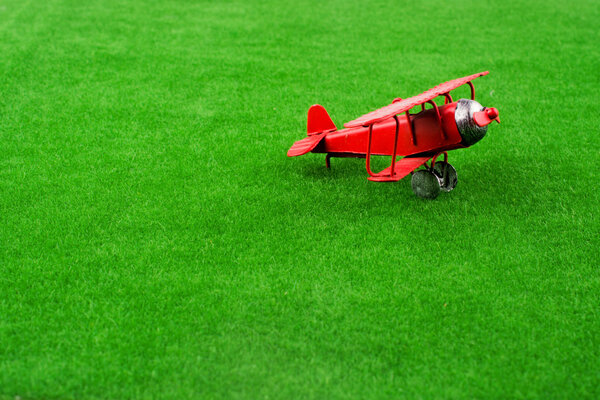 Model airplane in grass