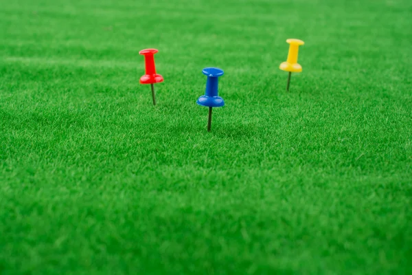 Pinos coloridos na grama verde — Fotografia de Stock