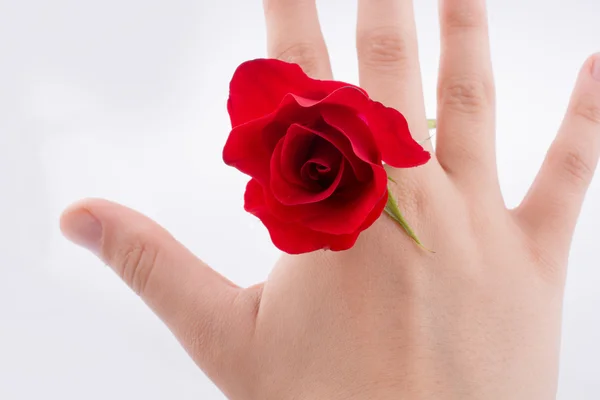 Hand met een roos — Stockfoto