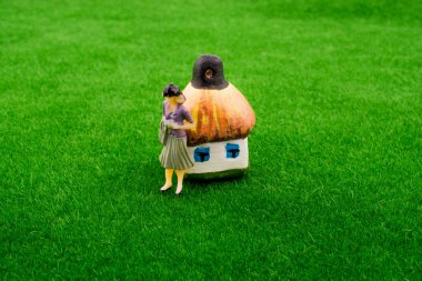 Kulübe model çim üzerinde