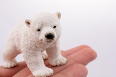 El tutma kutup ayısı