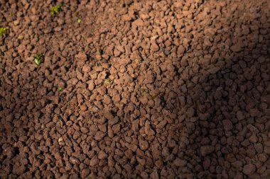 Kahverengi topaklı toprak 