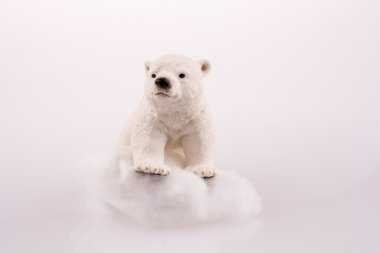 Buz üstünde kutup ayısı