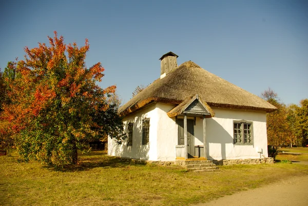 Традиционный украинский сельский коттедж с соломенной крышей — стоковое фото