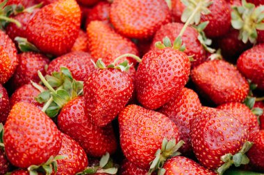Taze toplanmış çilekler. Çilekli. Gıda arkaplanı.